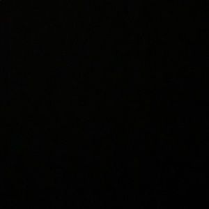 Meet your Posher, Shayla